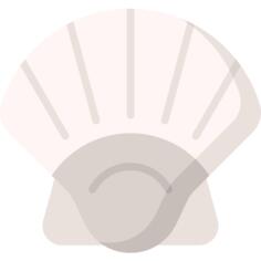 Clam