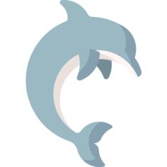海豚