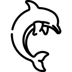 海豚