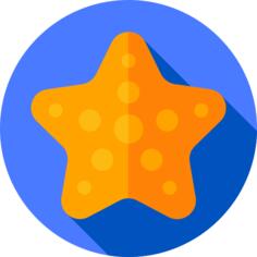 海星