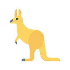Kangaroo