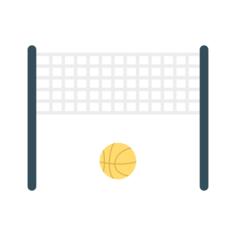 Volleyball