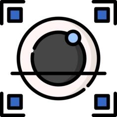 Retina