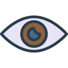 眼睛