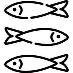 Sardines