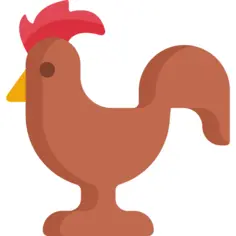公鸡