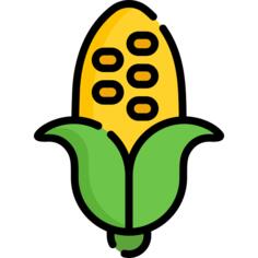 Corn