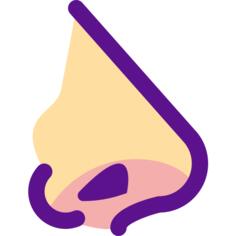 Nose