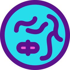 Chromosome