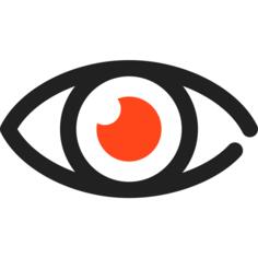 Eye