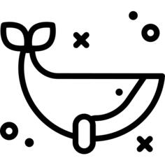 鲸