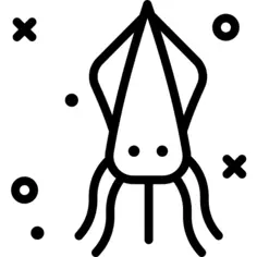 Squid