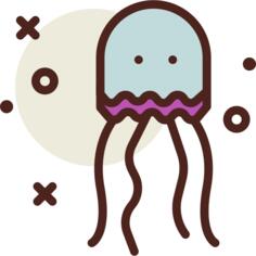 Jellyfish