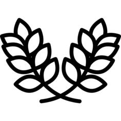 橄榄