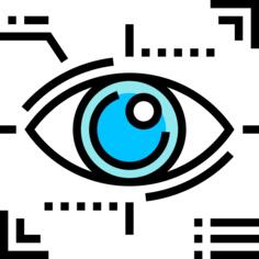 Eye recognition