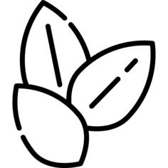 Sesame
