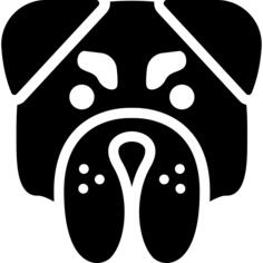 愤怒的斗牛犬的脸