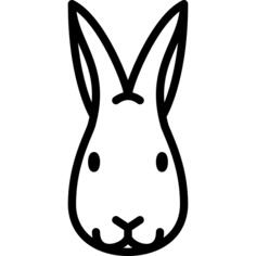Rabbit Head