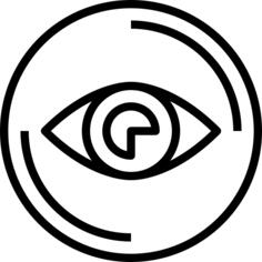Vision