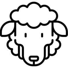 Sheep