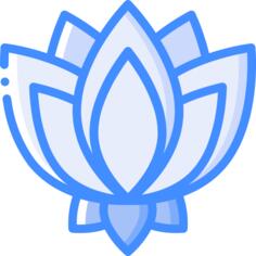Lotus flower