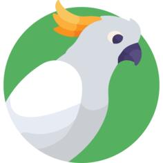 Cockatoo