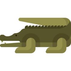 Crocodile