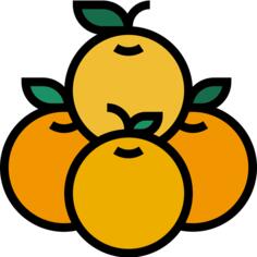 橙子