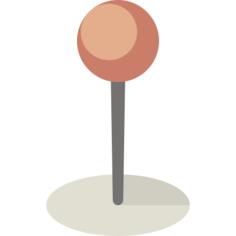 Pin