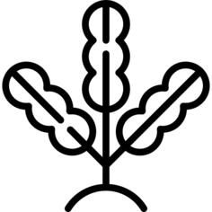 藻类