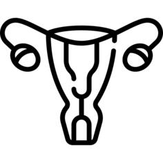 Uterus