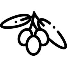 橄榄