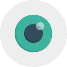 Eye