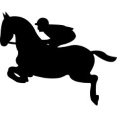 Jumping horse with jockey
