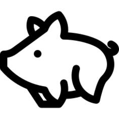 Pig