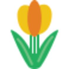 Tulip