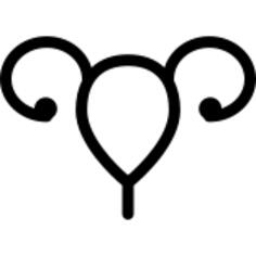 Uterus and Fallopian tube