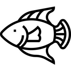 Fish