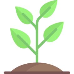 Sprout