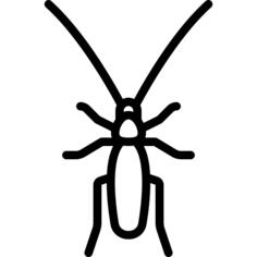 Cockroach