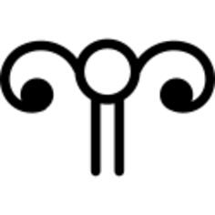 Female reproductive system representation
