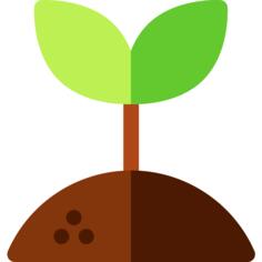 Sprout