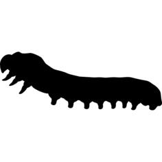 Wireworm shape