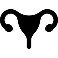 Uterus