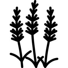 Ginkgo