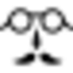 Circular glasses and mustache costume