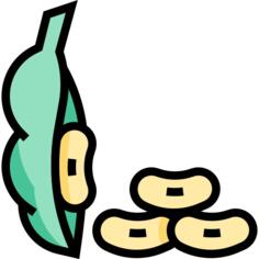 Soy