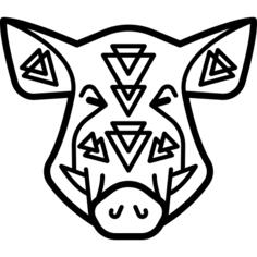 Boar