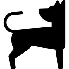 Dog Chasing Tail
