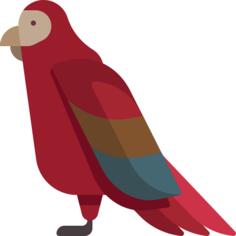 Parrot